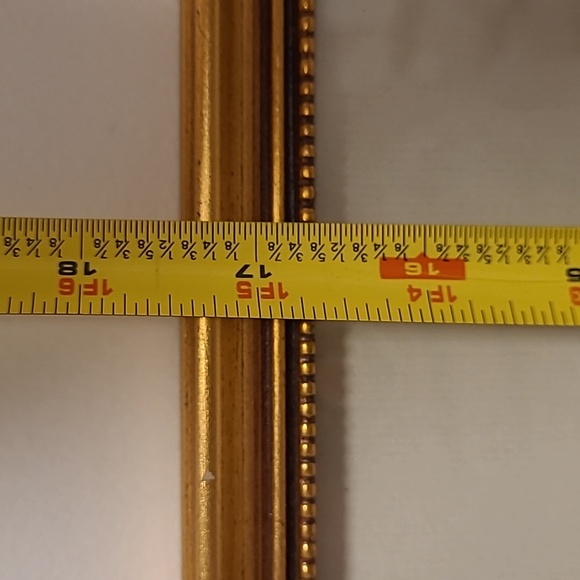 J. Gould and HC Richter Hummingbirds Aglaeactics Pamela Litho - Picture 16 of 16